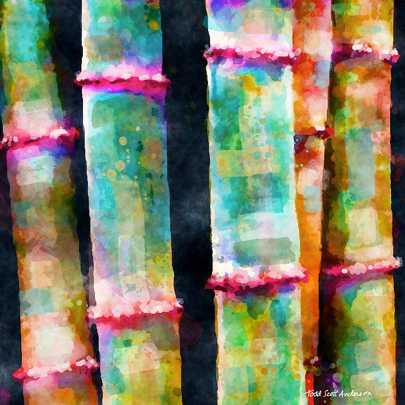 BAMBOO 4 T Print BAMBOO 4 T by Todd Scott Anderson