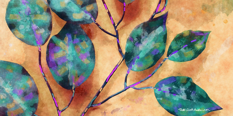 FICUS 5 T Print FICUS 5 T by Todd Scott Anderson