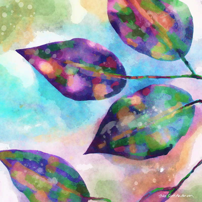 FICUS 9 T Print FICUS 9 T by Todd Anderson