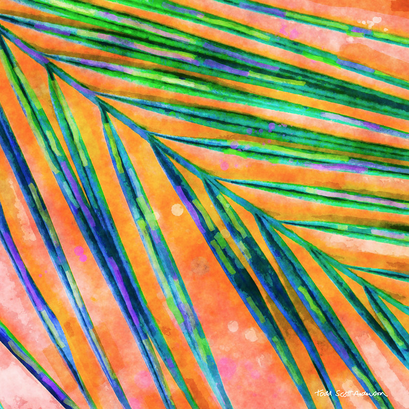 PALM 17 T Print PALM 17 T by Todd Scott Anderson