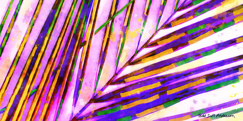 PALM 28 T Print PALM 28 T by Todd Scott Anderson