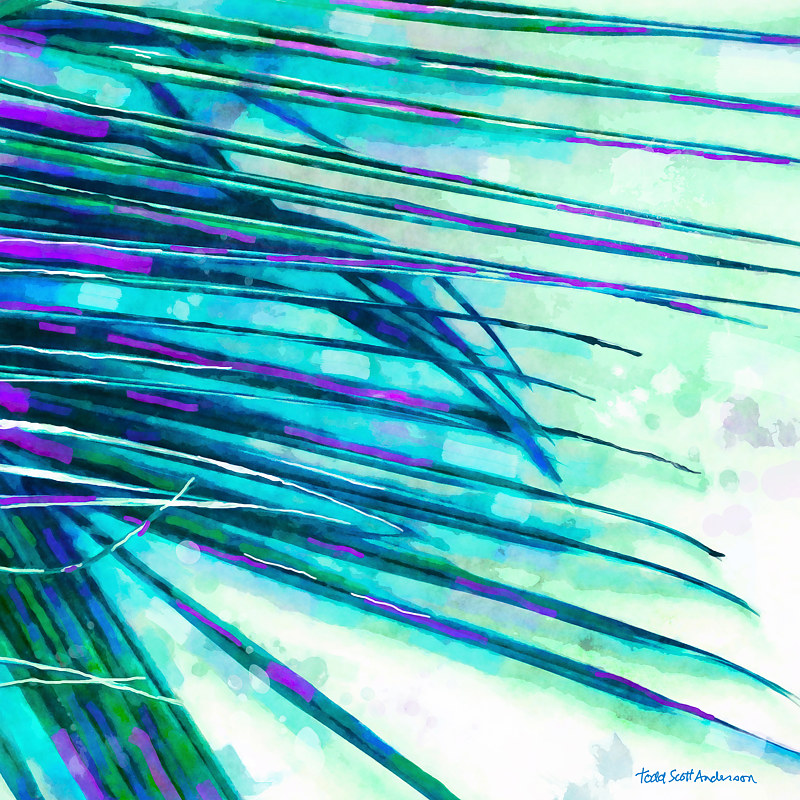 PALM 23 T Print PALM 23 T by Todd Scott Anderson