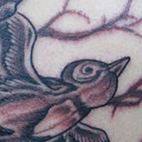 Black and Grey Bird Tattoo //images.artistrunwebsite.com/gallery/img_24561343954345_large.jpg?1425004725