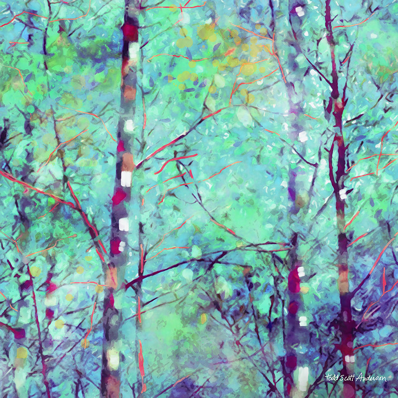 ASPENS 37 M Print ASPENS 37 M by Todd Scott Anderson