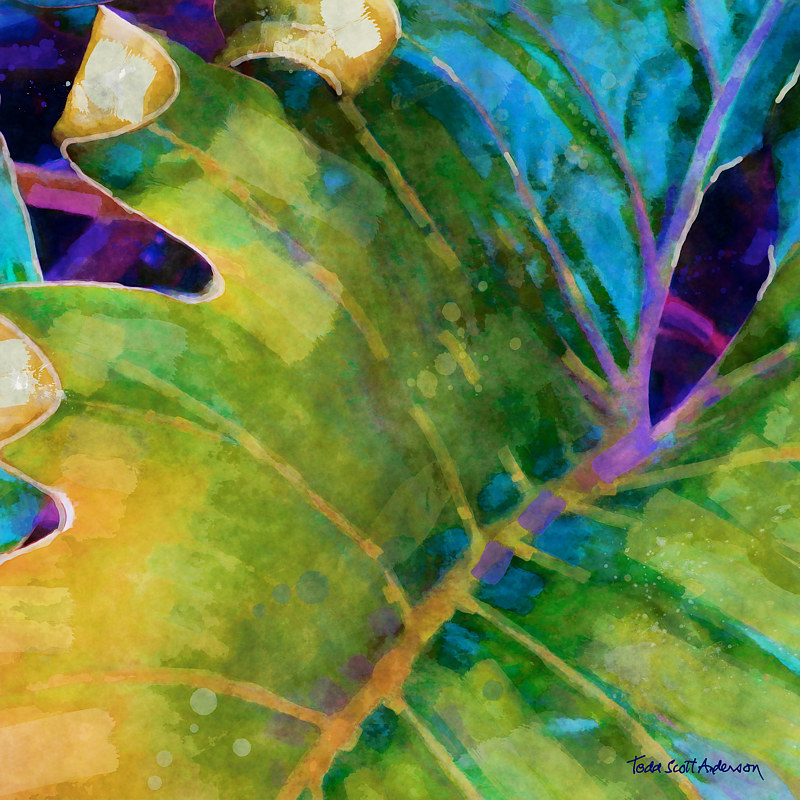 TROPIC FLORA 41 T Print TROPIC FLORA 41 T by Todd Scott Anderson