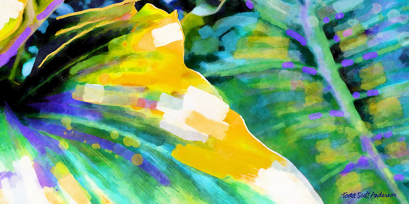 TROPIC FLORA 38 T Print TROPIC FLORA 38 T by Todd Scott Anderson