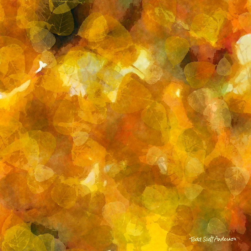 ASPEN LEAVES 31 M Print ASPEN LEAVES 31 M by Todd Scott Anderson