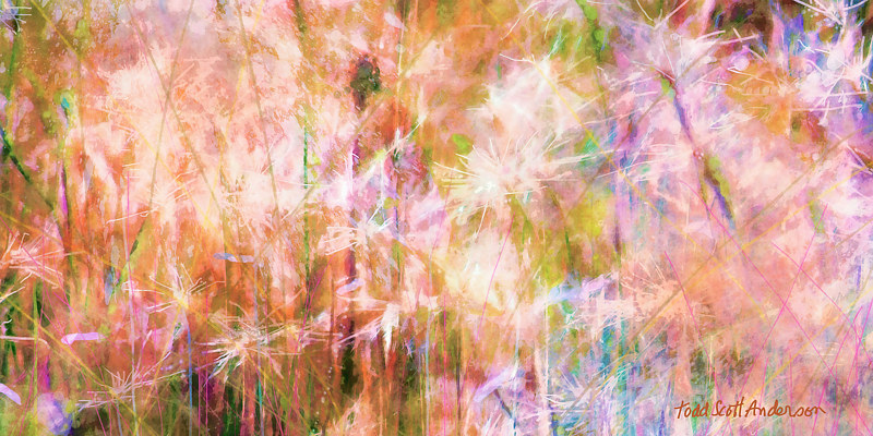 MOUNTAIN MEADOW 25 M Print MOUNTAIN MEADOW 25 M by Todd Scott Anderson