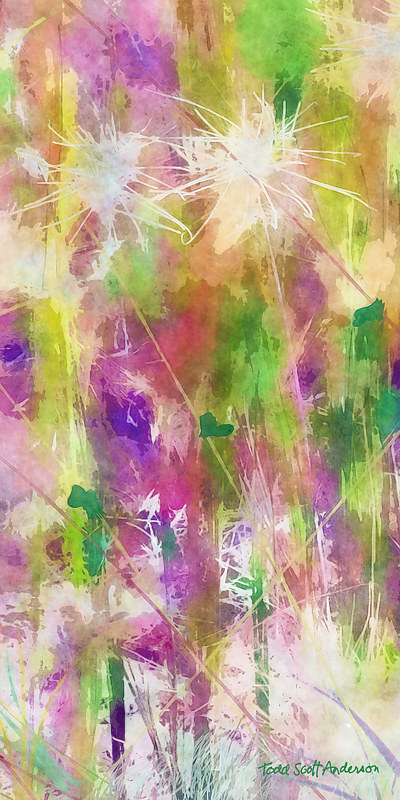 MOUNTAIN MEADOW 28 M Print MOUNTAIN MEADOW 28 M by Todd Scott Anderson