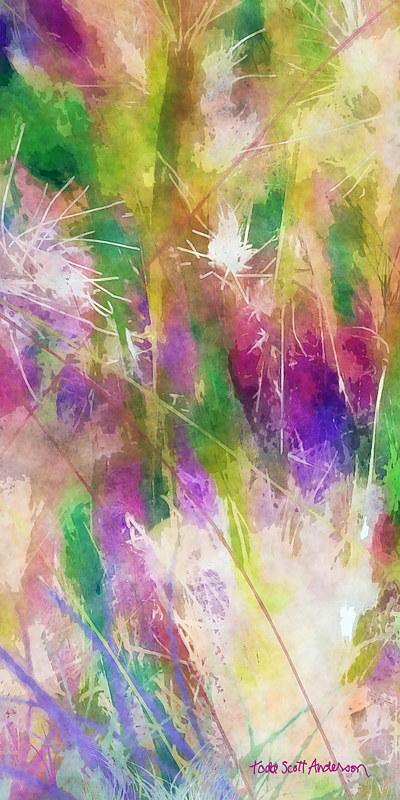 MOUNTAIN MEADOW 30 M Print MOUNTAIN MEADOW 30 M by Todd Scott Anderson