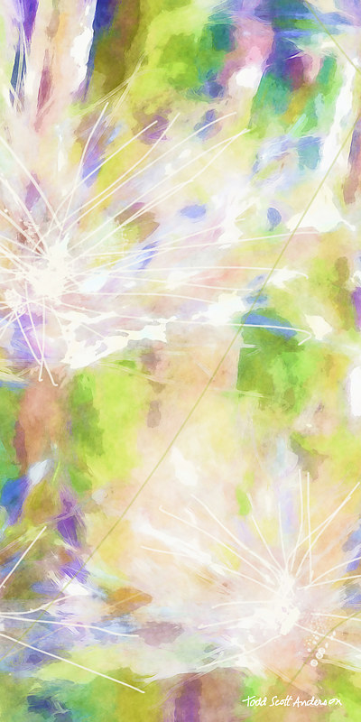 MOUNTAIN MEADOW 22 M Print MOUNTAIN MEADOW 22 M by Todd Scott Anderson