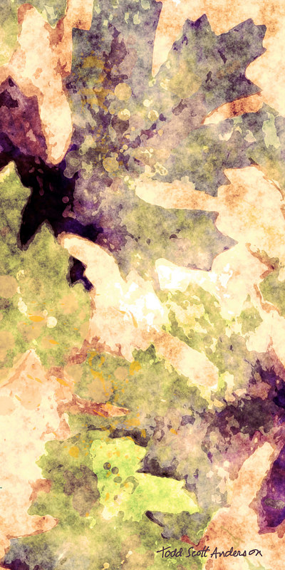 OAK LEAVES 6 M Print OAK LEAVES 6 M by Todd Scott Anderson