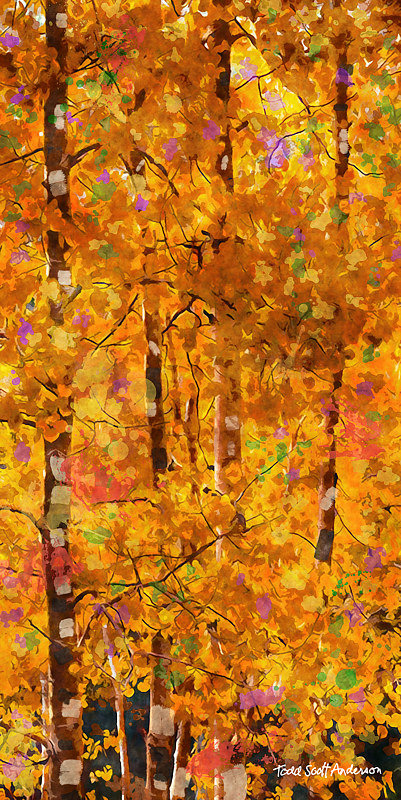ASPENS 32 M Print ASPENS 32 M by Todd Scott Anderson