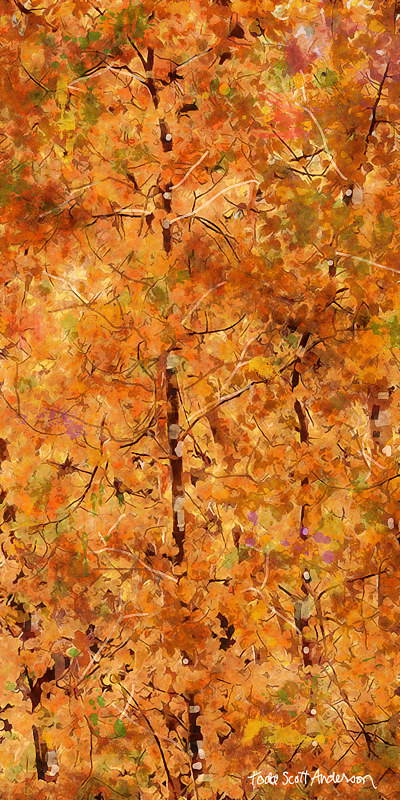 ASPENS 22 M Print ASPENS 22 M by Todd Scott Anderson