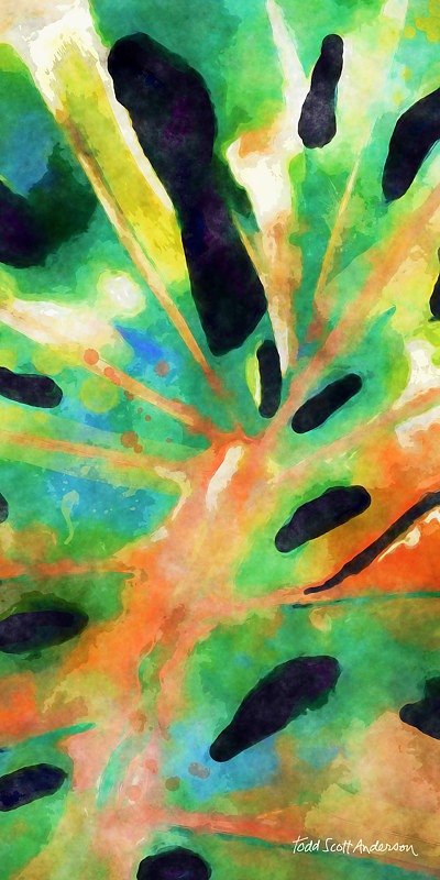 TROPIC FLORA 46 T Print TROPIC FLORA 46 T by Todd Anderson