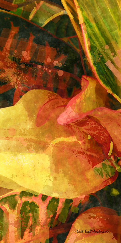 TROPIC FLORA 33 T Print TROPIC FLORA 33 T by Todd Anderson