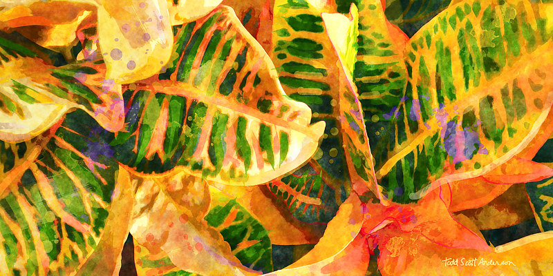 TROPIC FLORA 32 Print TROPIC FLORA 32 by Todd Scott Anderson