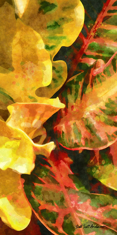TROPIC FLORA 34 T Print TROPIC FLORA 34 T by Todd Anderson