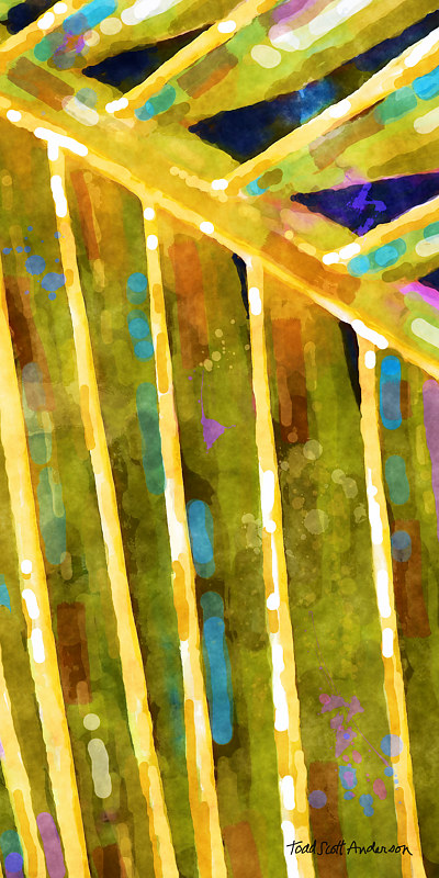 PALM 36 T Print PALM 36 T by Todd Anderson