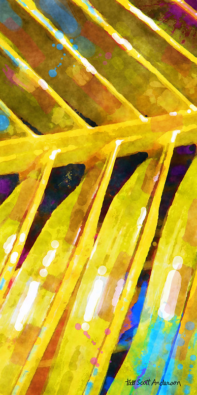 PALM 34 T Print PALM 34 T by Todd Anderson