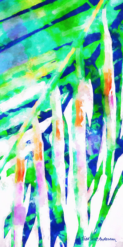 PALM 14 T Print PALM 14 T by Todd Scott Anderson