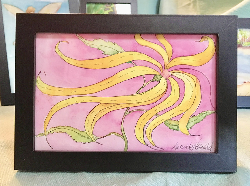 Tiny 4x6 floral watercolor: Hele ka Pua i Hea? Watercolor Tiny 4x6 floral watercolor: Hele ka Pua i Hea? by Pamela Neswald