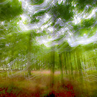 Beautiful Mistake //images.artistrunwebsite.com/gallery/img_2493391512334733_large.jpg?1512348632