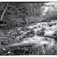 The River Flows //images.artistrunwebsite.com/gallery/img_2493491512346966_large.jpg?1512347851