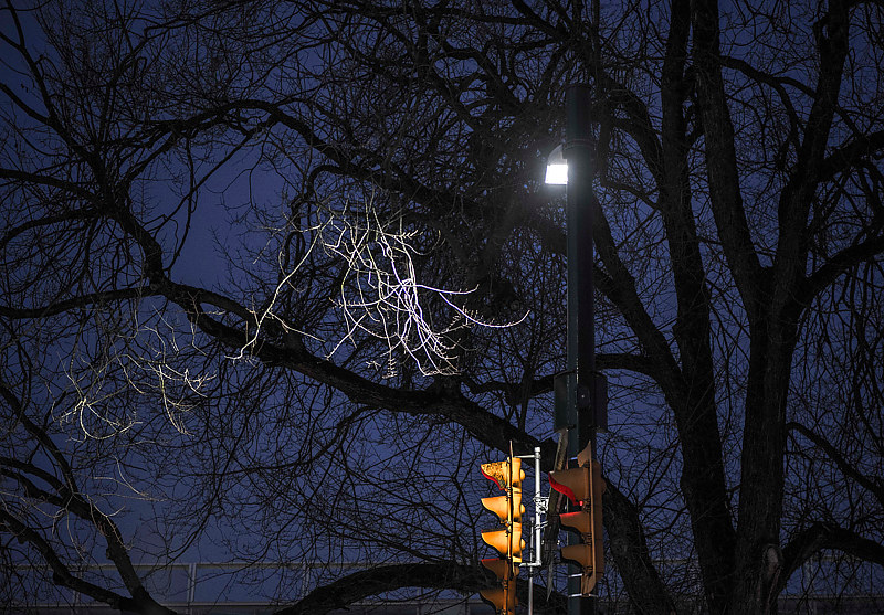 "Knowledge, Midnight Branch" "Knowledge, Midnight Branch" by Hunter Madsen