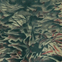 Tree Tattoo //images.artistrunwebsite.com/gallery/img_24981343954483_large.jpg?1425004759