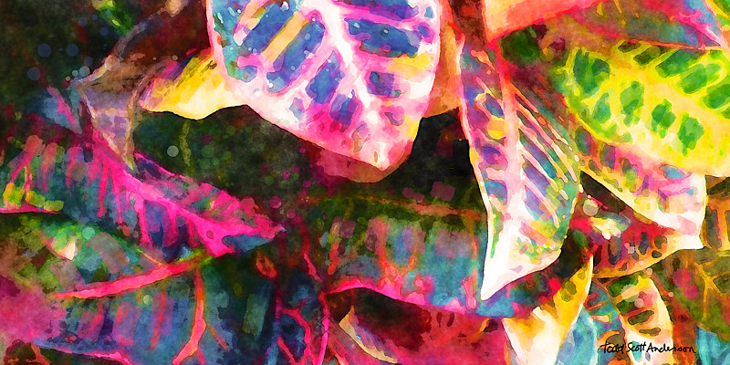 TROPIC FLORA 42 T Print TROPIC FLORA 42 T by Todd Anderson