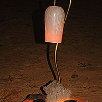 Labradorite & Selenite //images.artistrunwebsite.com/gallery/img_2502571513885396_large.jpg?1541430811