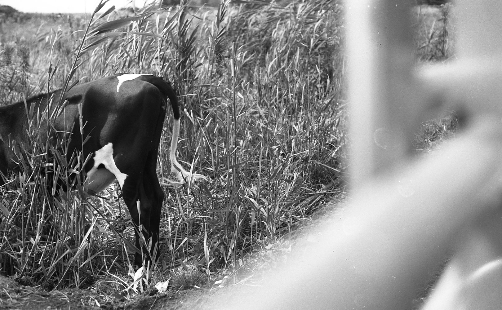 Return to: Les photographies by Sarah Seené