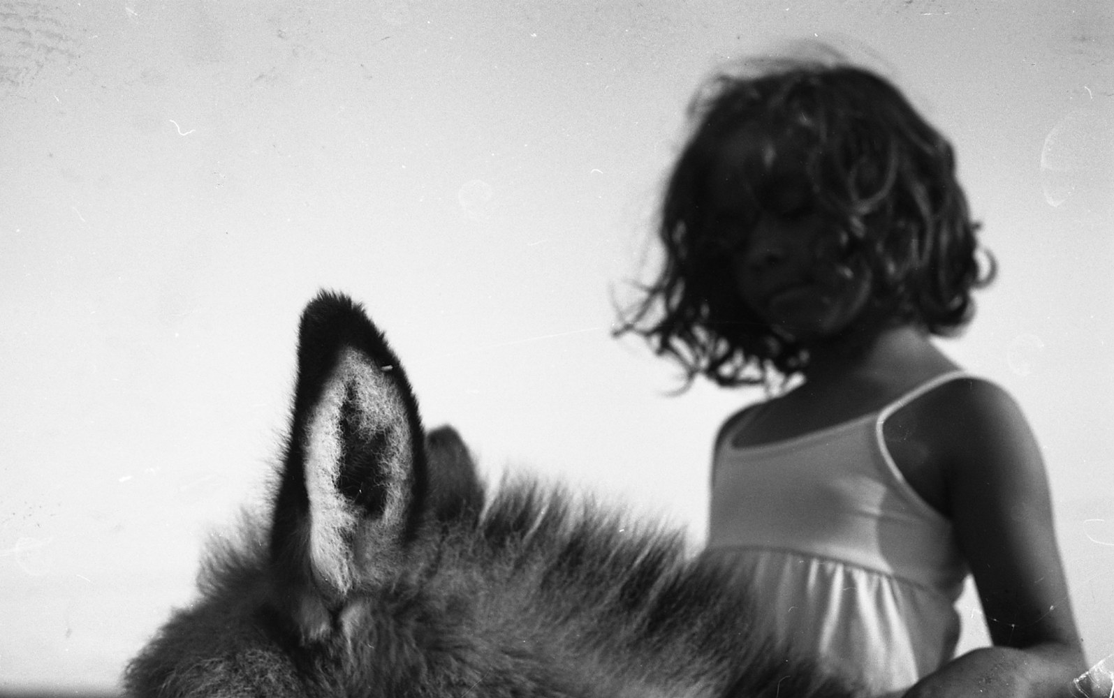 Return to: Le bruit des sabots by Sarah Seené