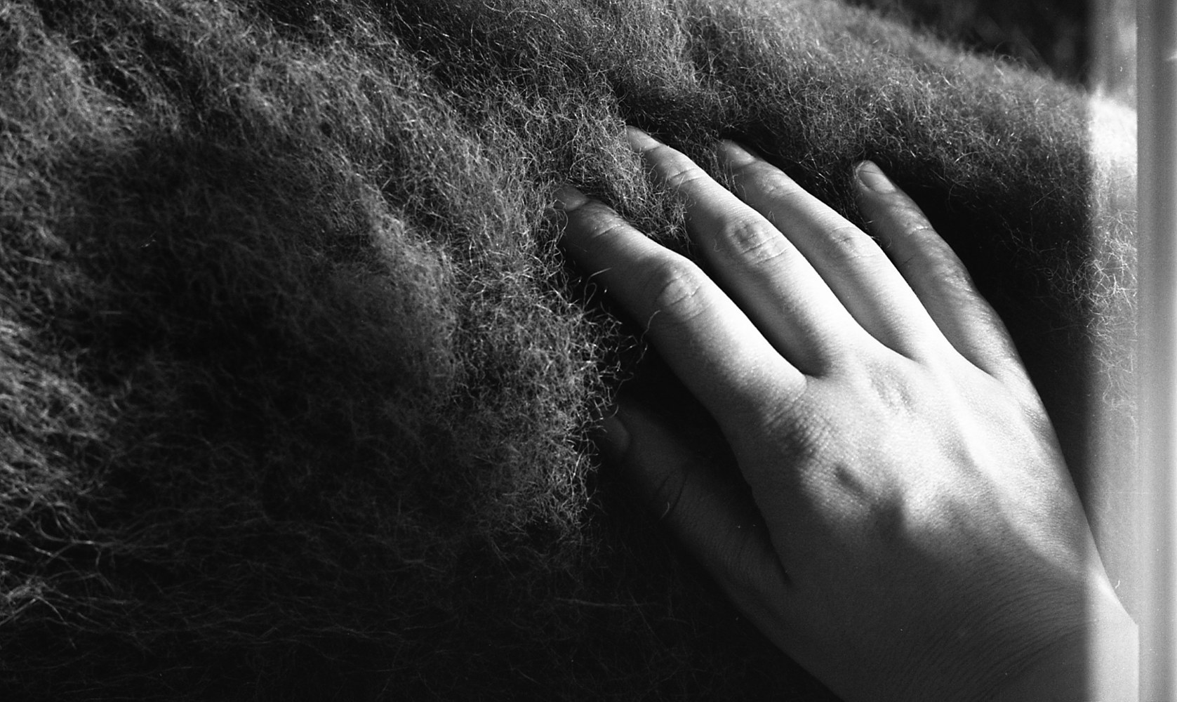 Return to: Les photographies by Sarah Seené