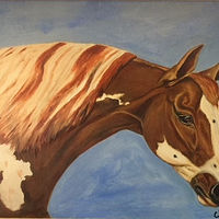 "Appaloosa" //images.artistrunwebsite.com/gallery/img_2544371518568985_large.jpg?1566444898