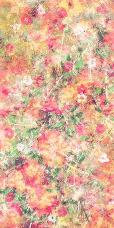 MOUNTAIN WILDFLOWERS 39 M Print MOUNTAIN WILDFLOWERS 39 M by Todd Anderson