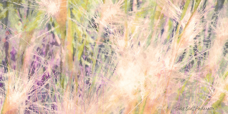 MOUNTAIN MEADOW 6 M Print MOUNTAIN MEADOW 6 M by Todd Scott Anderson