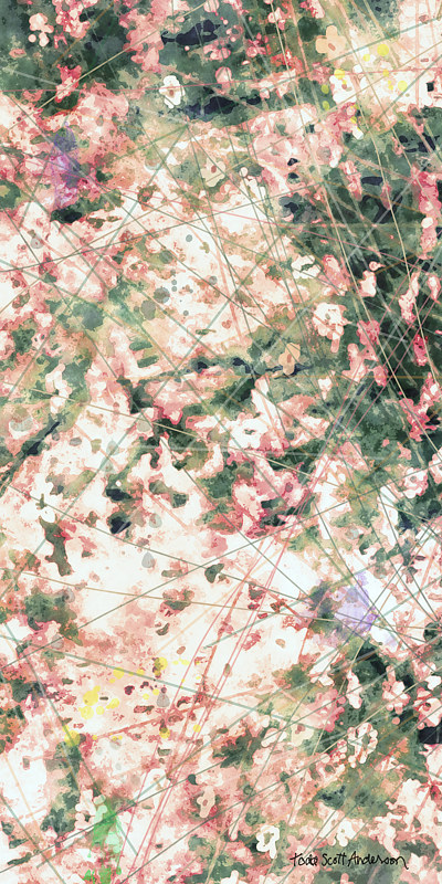 MOUNTAIN MEADOW 40 M Print MOUNTAIN MEADOW 40 M by Todd Anderson