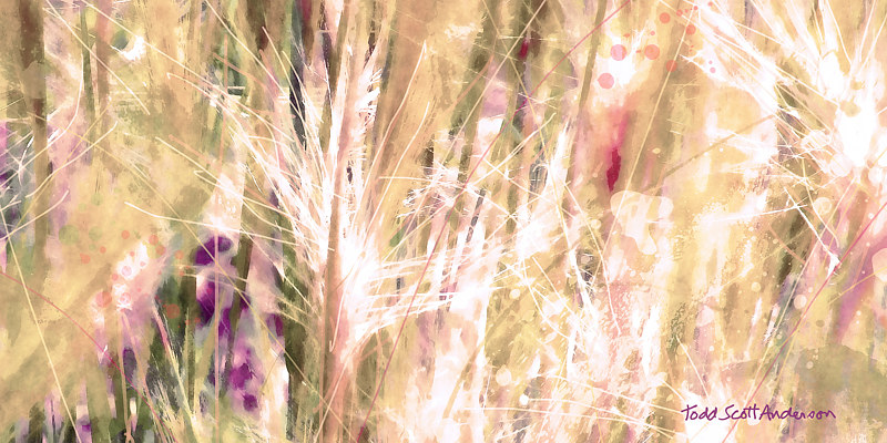 MOUNTAIN MEADOW 16 M Print MOUNTAIN MEADOW 16 M by Todd Scott Anderson