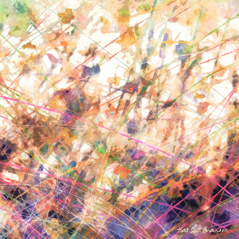 MOUNTAIN MEADOW 27 M Print MOUNTAIN MEADOW 27 M by Todd Anderson