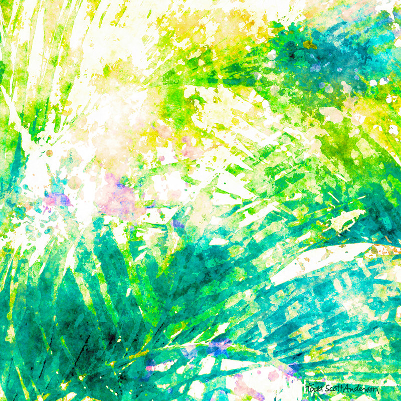 PALM 18 T Print PALM 18 T by Todd Scott Anderson