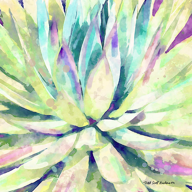 MOJAVE AGAVE 15 D copy Print MOJAVE AGAVE 15 D copy by Todd Anderson