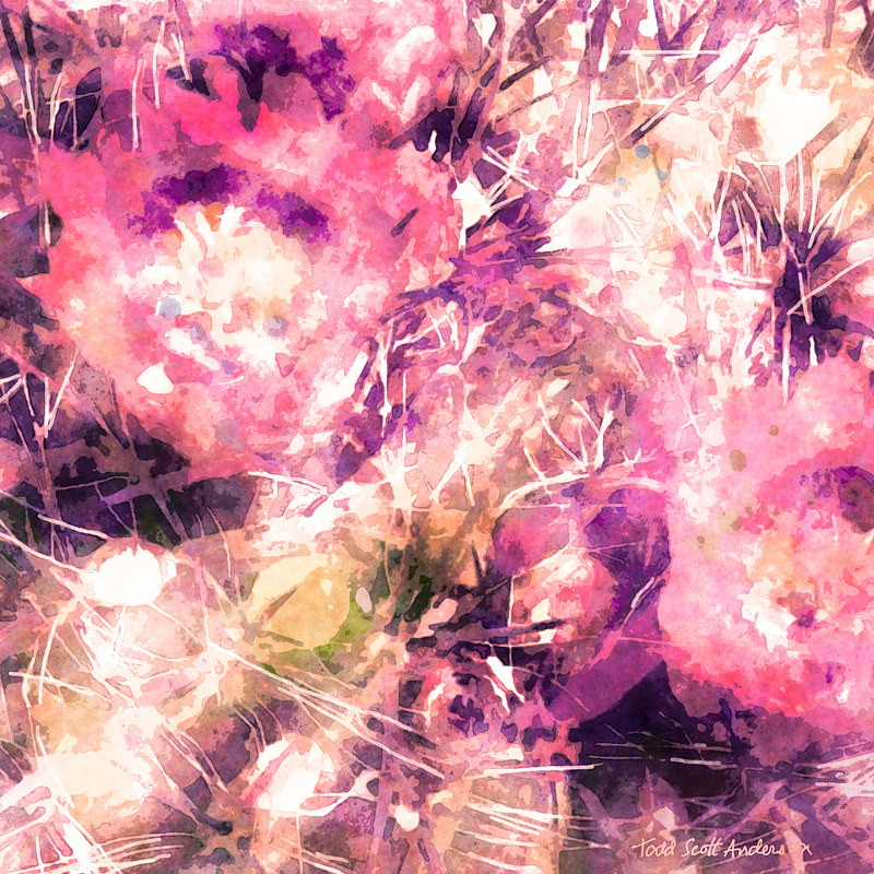 MOJAVE CACTUS 6 D Print MOJAVE CACTUS 6 D by Todd Scott Anderson