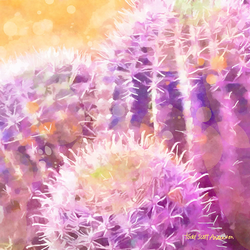 MOJAVE CACTUS 8 D copy Print MOJAVE CACTUS 8 D copy by Todd Anderson