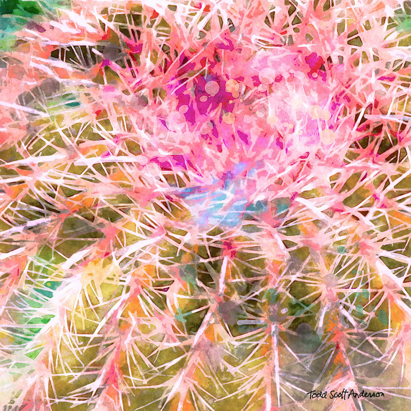 MOJAVE CACTUS 28 D Print MOJAVE CACTUS 28 D by Todd Scott Anderson