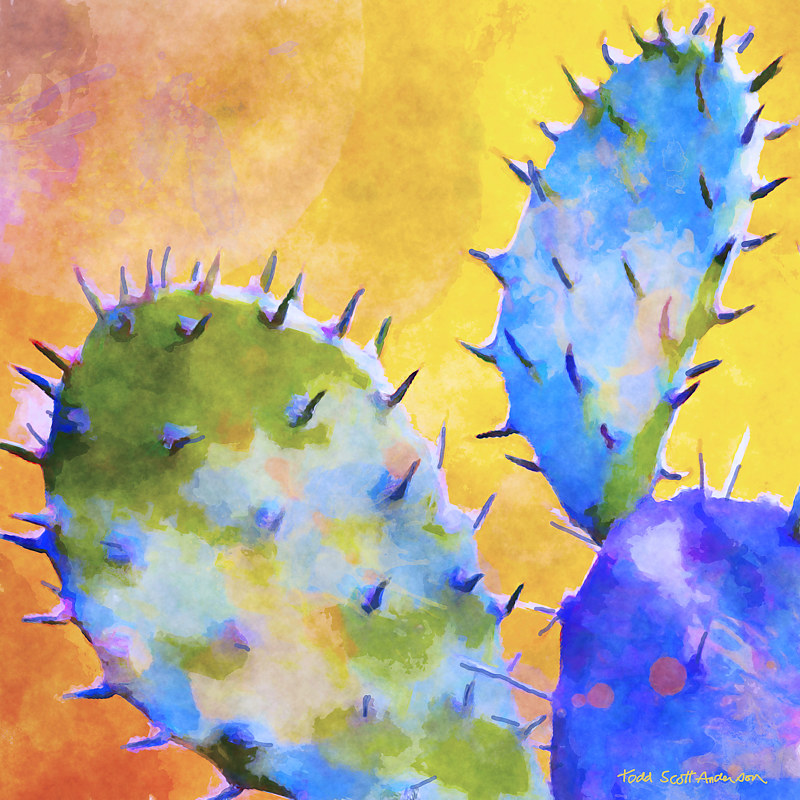 SONORA CACTUS 5 D Print SONORA CACTUS 5 D by Todd Scott Anderson