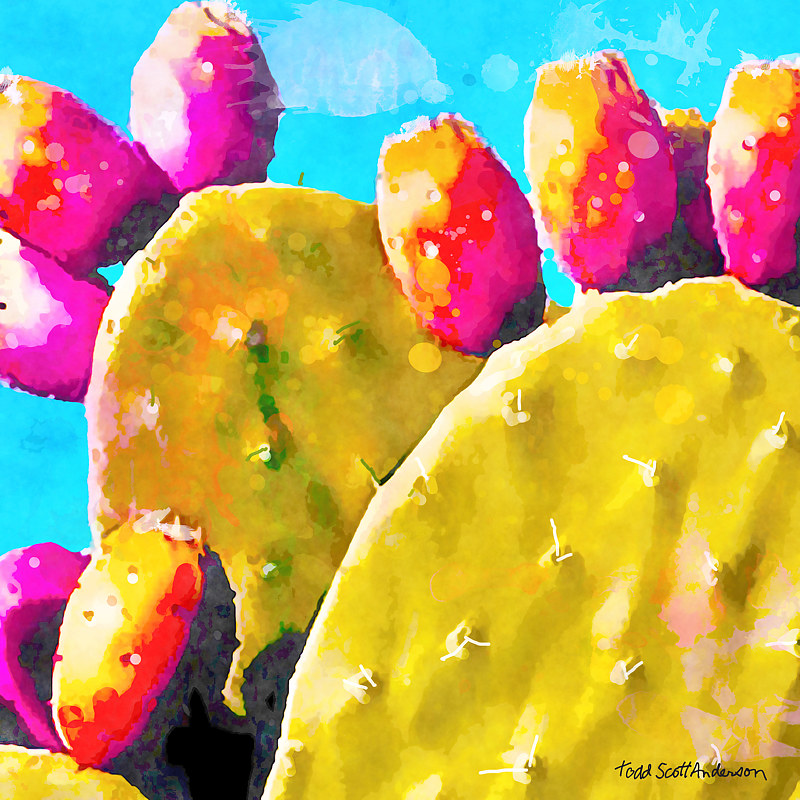 SONORA CACTUS 7 D Print SONORA CACTUS 7 D by Todd Scott Anderson