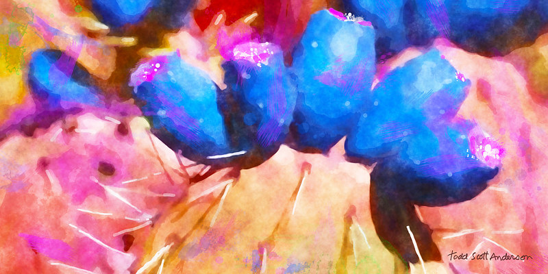 SONORA CACTUS 9 D Print SONORA CACTUS 9 D by Todd Scott Anderson