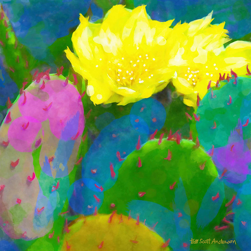 SONORA CACTUS 18 D Print SONORA CACTUS 18 D by Todd Scott Anderson